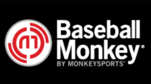 Baseball Monkey